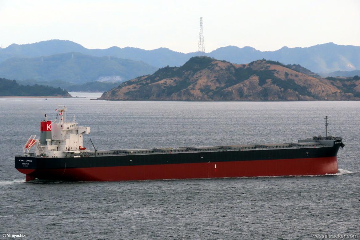 Scarlet-Cypress - Bulk Carrier vessel
