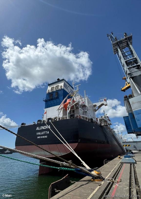 Alondra - Bulk Carrier vessel
