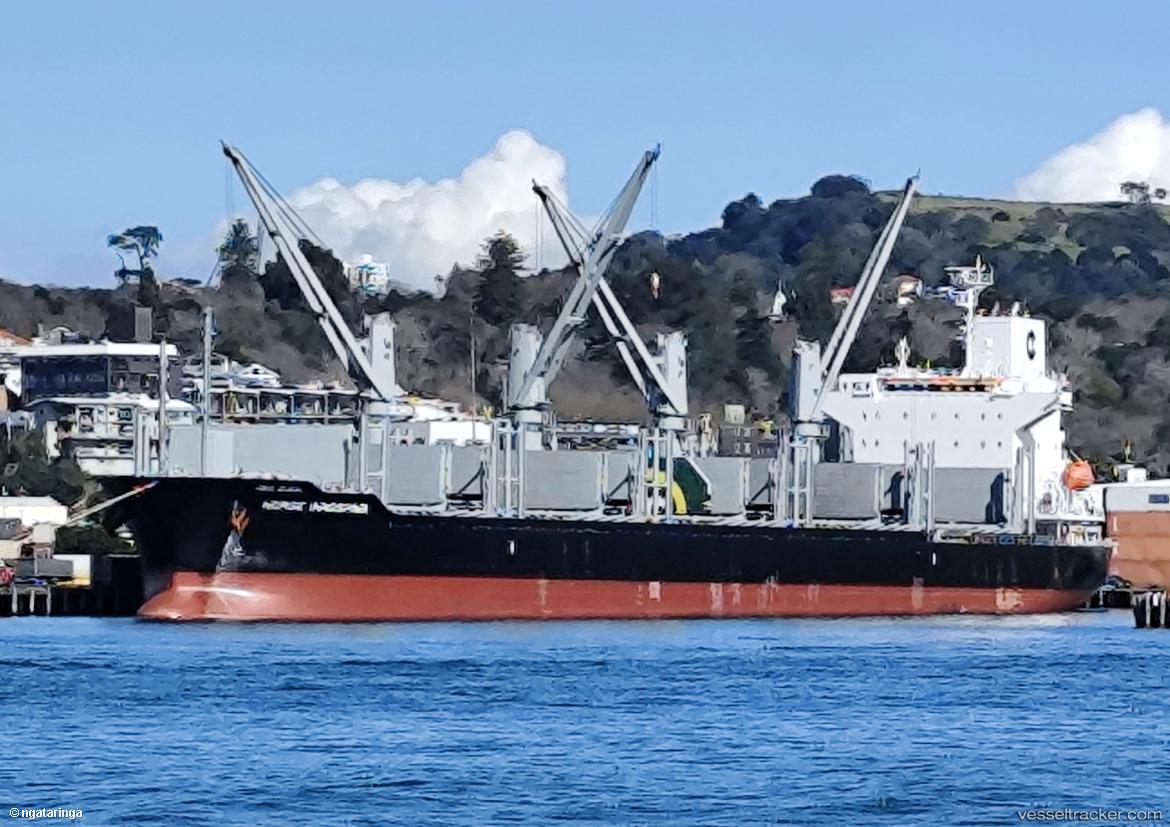 Norse-Innoshima - Bulk Carrier vessel