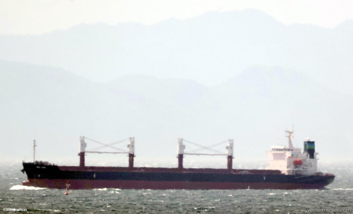 Asl-Ark - Bulk Carrier vessel