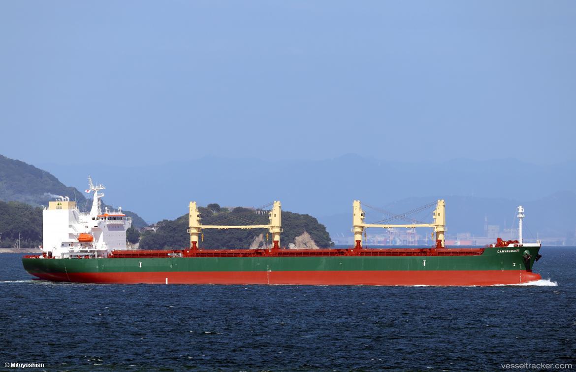 Canvasback - Bulk Carrier vessel