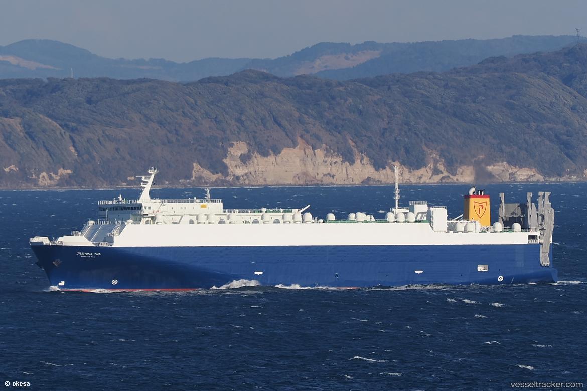 Princess-Bell - Ro Ro Cargo Ship vessel