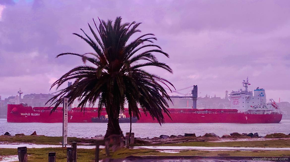 Maple-Glory - Bulk Carrier vessel