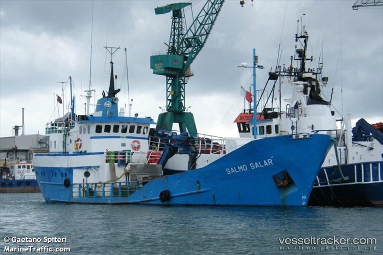 Salmo-Salar-Lk - Fish Carrier vessel