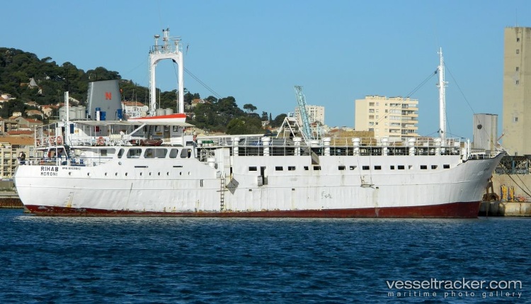 Maysa - Livestock Carrier