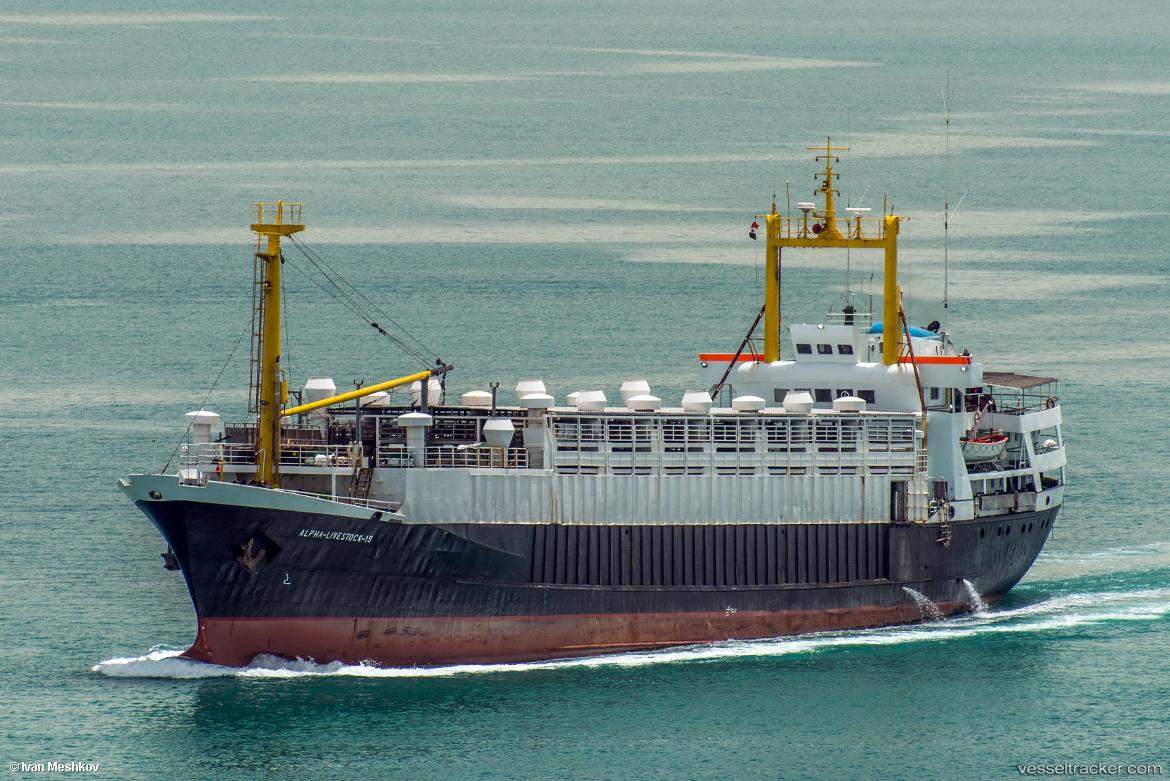 Unimar-Livestock - Livestock Carrier vessel