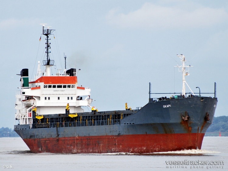 Brave-Knight - Bulk Carrier vessel