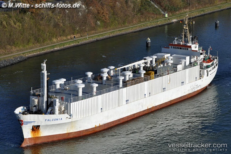 Dragon - Livestock Carrier vessel