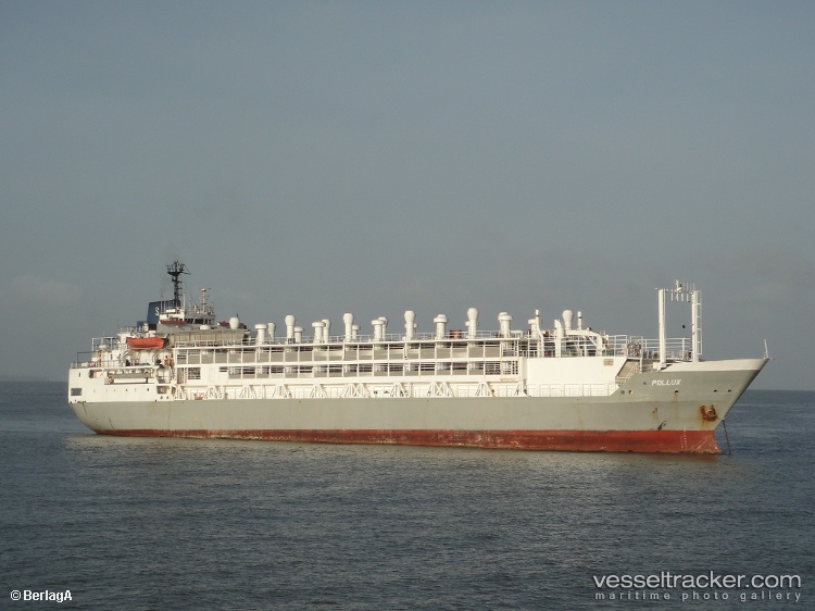 Fidelity - Livestock Carrier vessel