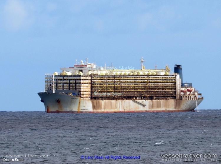 Mawashi-Express - Livestock Carrier