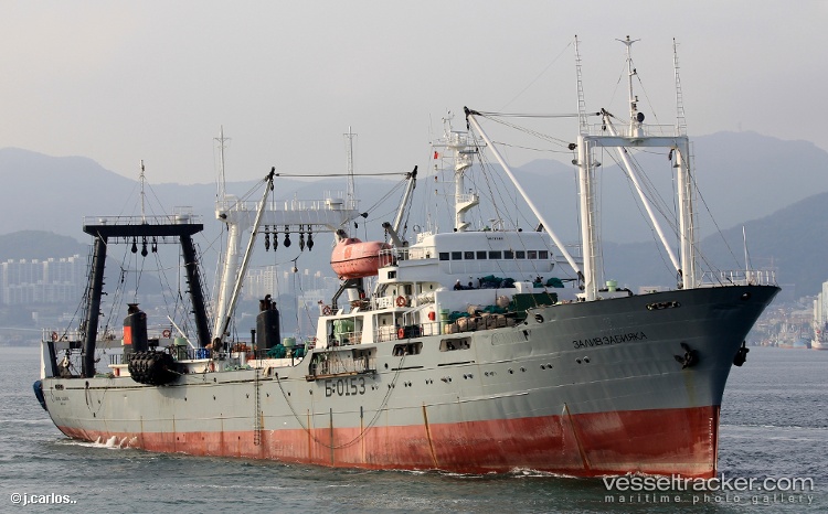 Zaliv-Zabiyaka - Fishing Vessel vessel