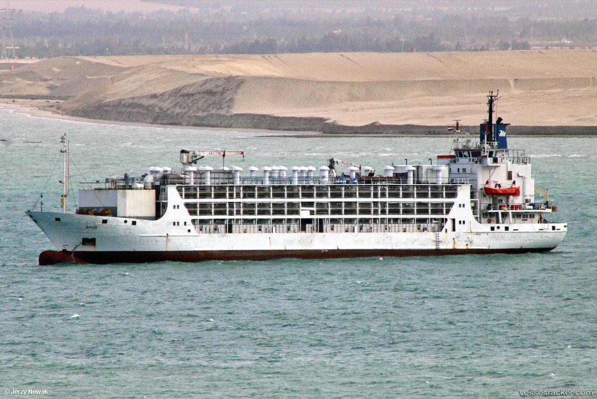 Apus - Livestock Carrier vessel