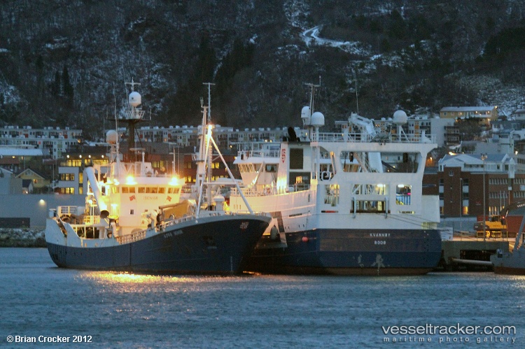 Senior - Fish Carrier vessel