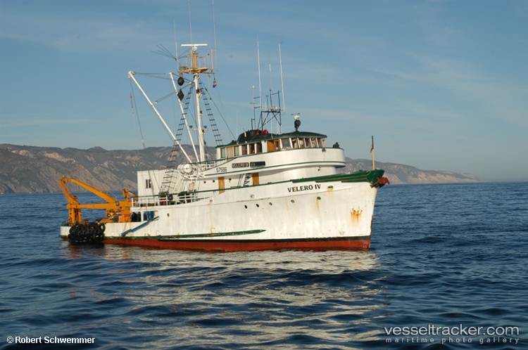 Velero-Iv - Fishing Support Vessel vessel
