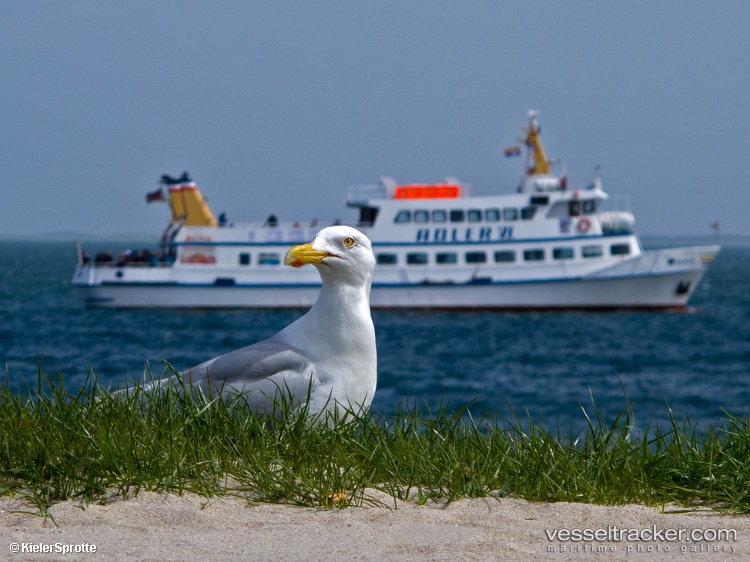 Adler-Vi - Passenger Ship vessel