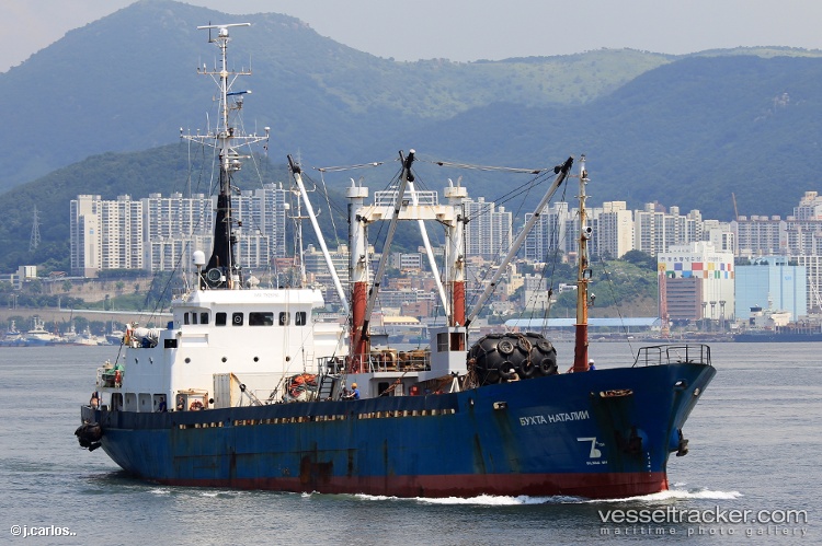 Bukhta-Natalii - Refrigerated Cargo Ship vessel