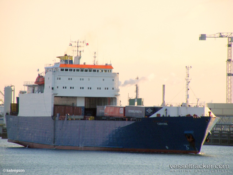 Gulf-Livestock-2 - Livestock Carrier vessel