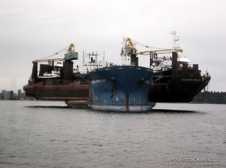 Development-Way - Heavy Load Carrier vessel