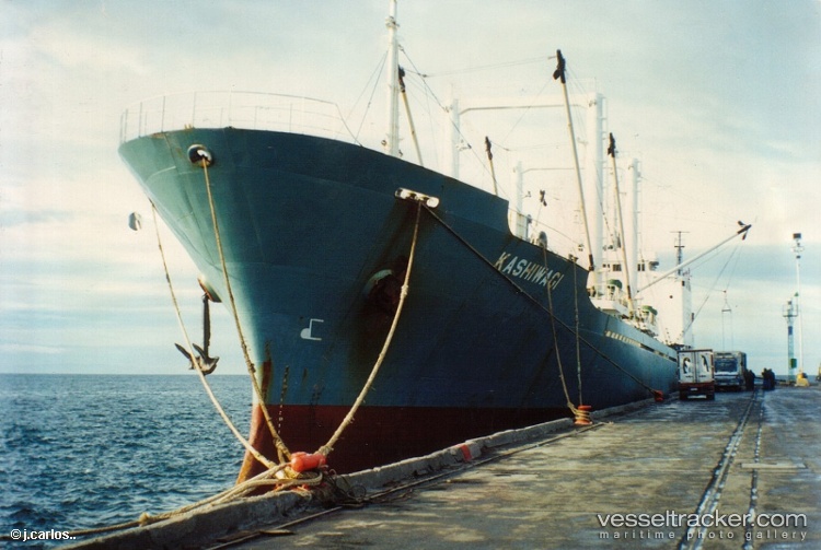 Kam-Star - Refrigerated Cargo Ship