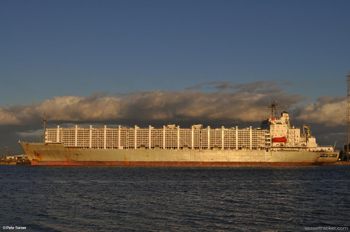 Maysora - Livestock Carrier