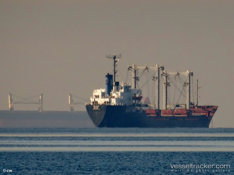 Spring - Bulk Carrier vessel