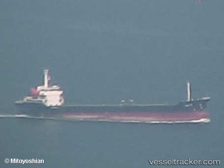 Radhika-Pangestu - General Cargo Ship vessel