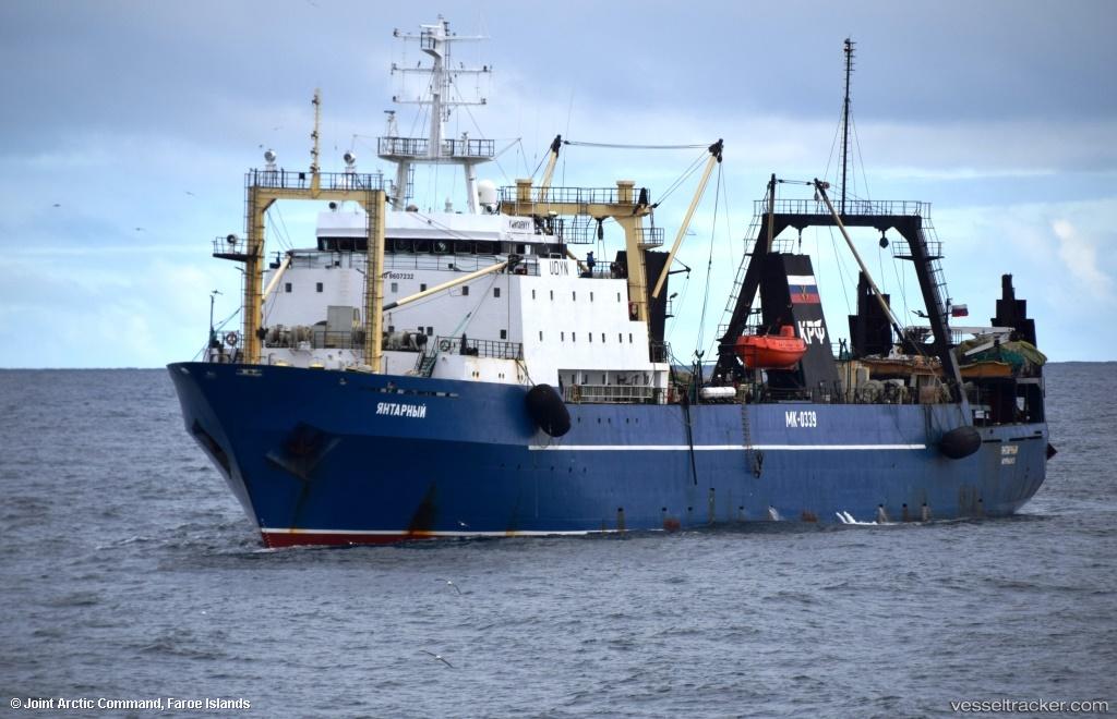 Yantarnyy - Fish Factory Ship vessel