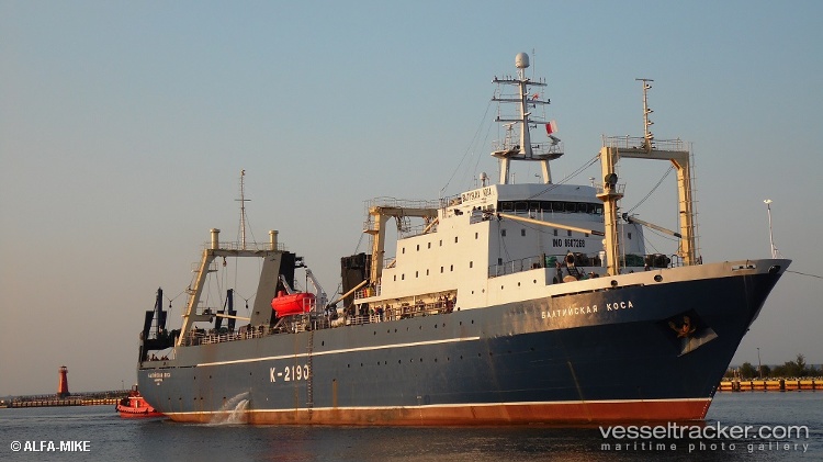 Baltiyskaya-Kosa - Fish Factory Ship vessel