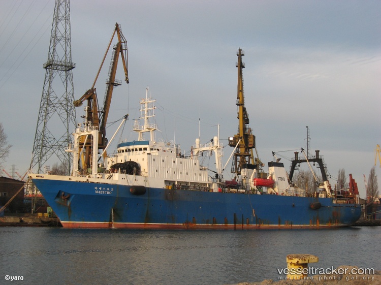 Sejong - Fish Factory Ship vessel
