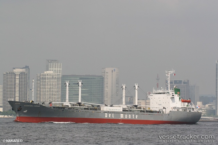 Sein-Grace - Refrigerated Cargo Ship vessel
