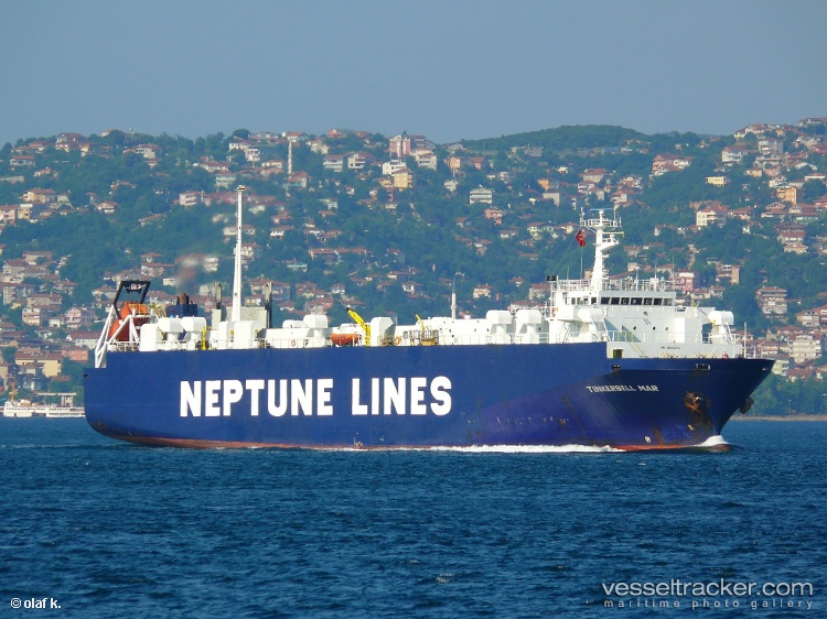 Tulip - Livestock Carrier vessel