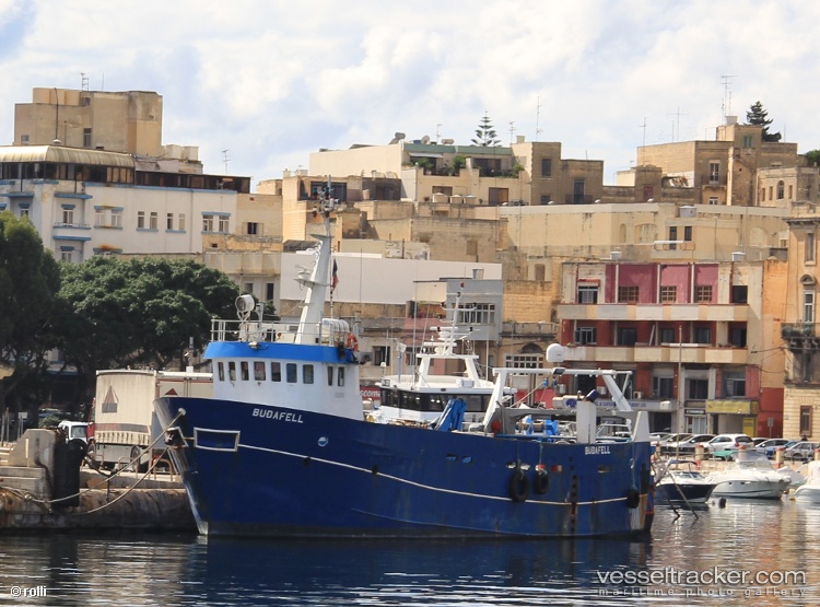 Budafell - Fishing Support Vessel vessel