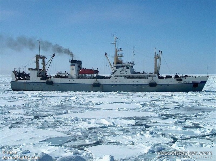 Ivan-Kalinin - Fish Factory Ship vessel