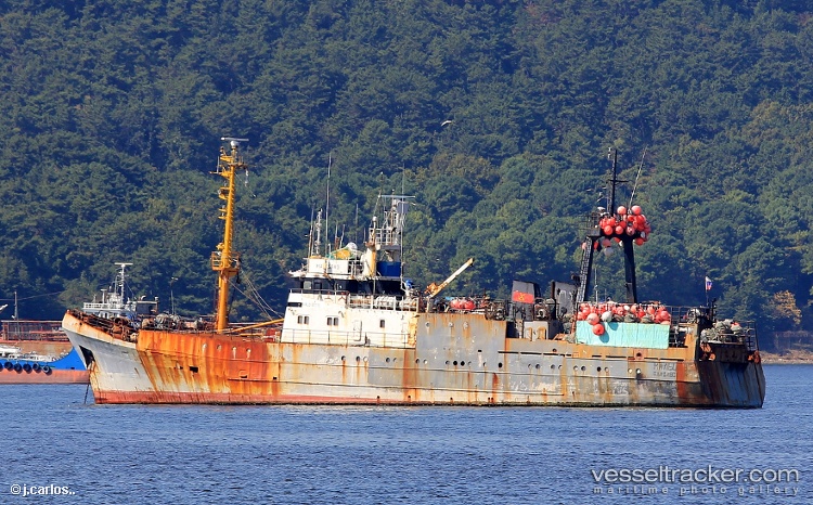 Maltsevo - Fishing Vessel vessel