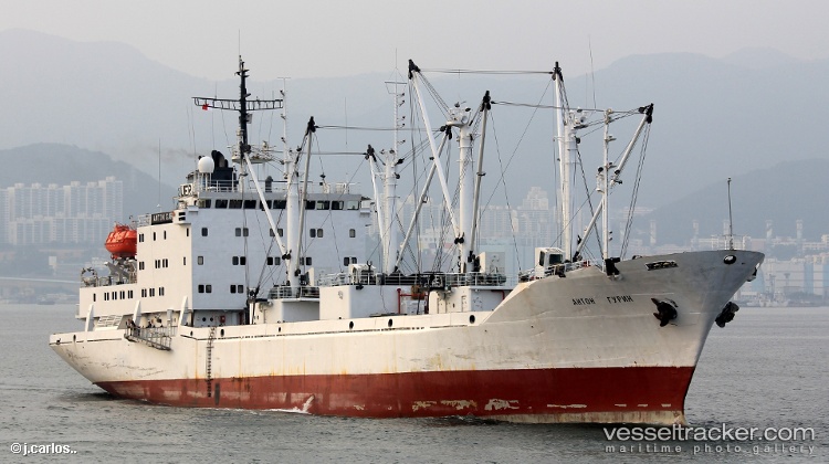 Anton-Gurin - Refrigerated Cargo Ship vessel