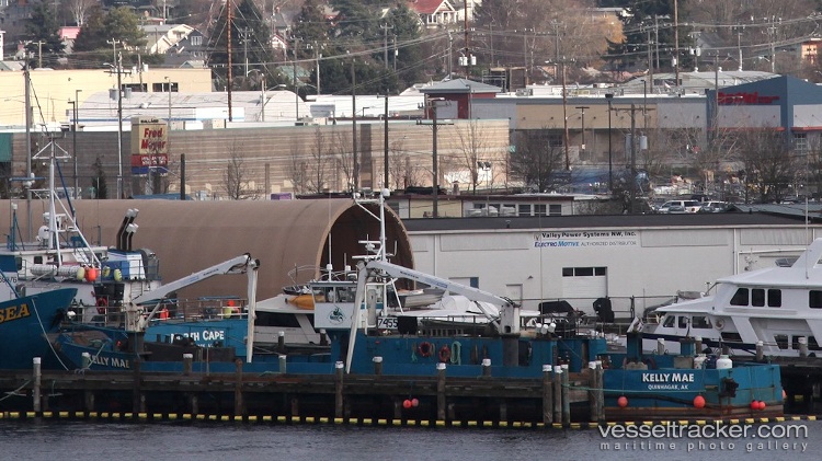 Pelagic - Fishing Support Vessel vessel
