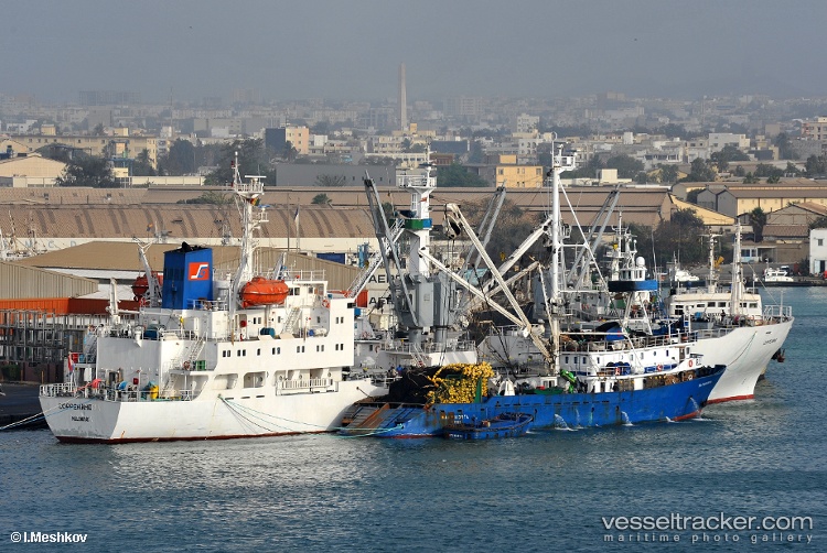 Coppename - Refrigerated Cargo Ship vessel