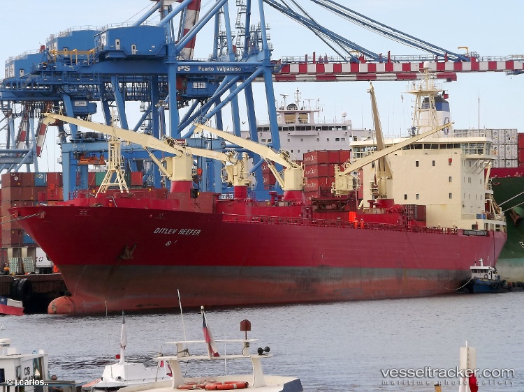 Ditlev-Reefer - Refrigerated Cargo Ship vessel