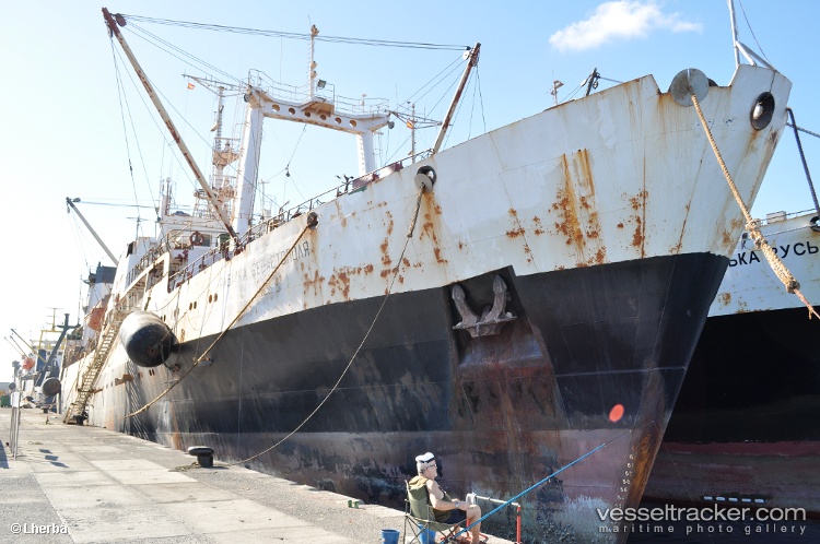Olutorsky - Fish Factory Ship