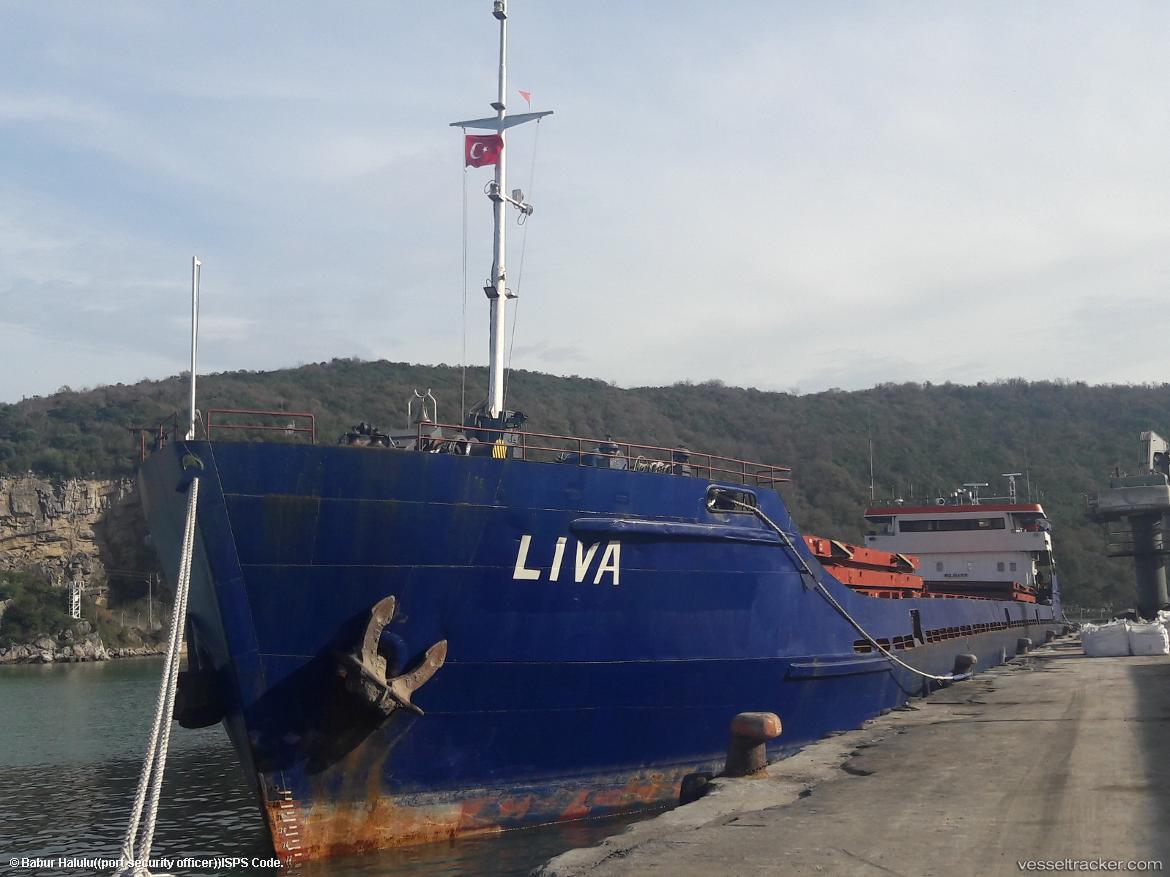 Liva - Bulk Carrier vessel