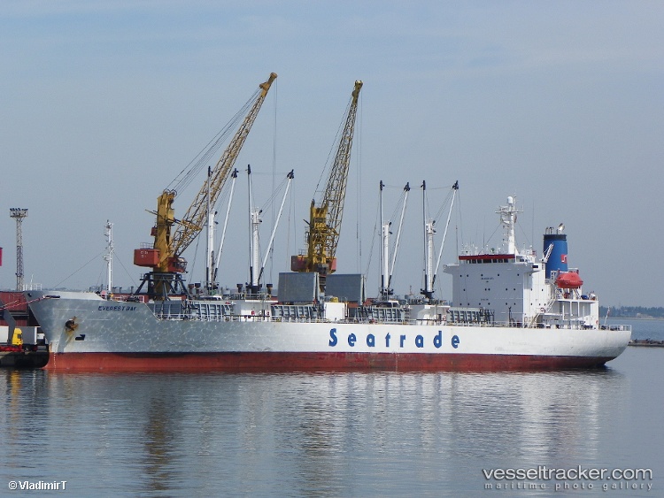 Adel - Refrigerated Cargo Ship vessel