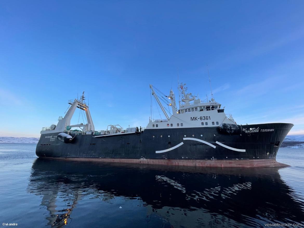 Vasiliy-Golovnin - Fish Factory Ship vessel