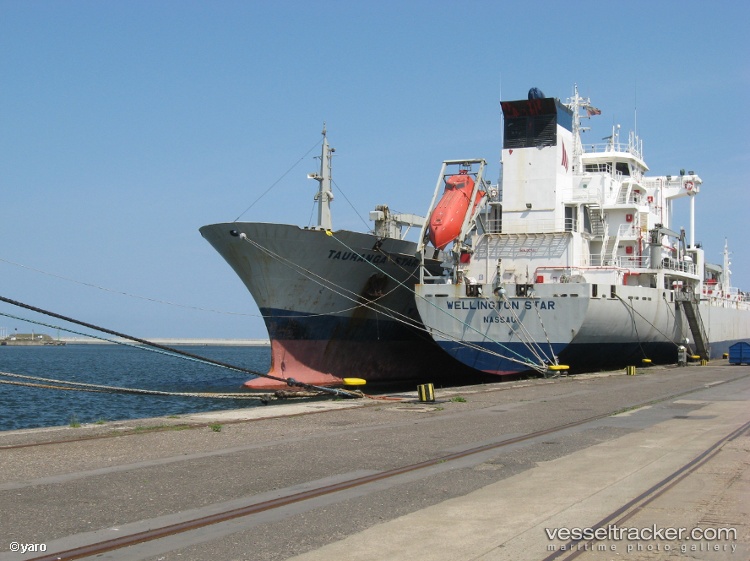 Wellington-Star - Refrigerated Cargo Ship vessel