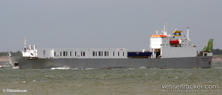 Dalka - Ro Ro Cargo Ship vessel
