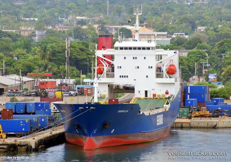 Seaboard-Sun - Container Ro Ro Cargo Ship vessel