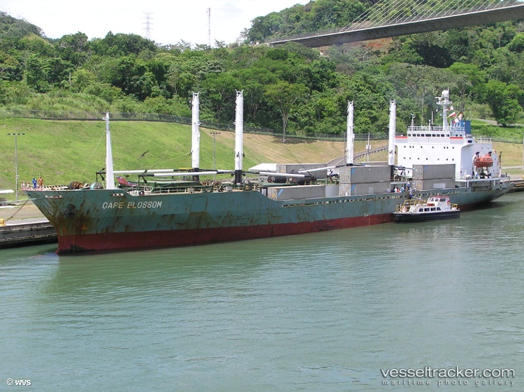 Webo-307 - Refrigerated Cargo Ship vessel