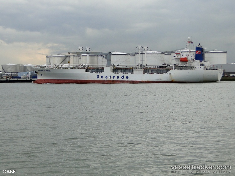 Tigr-2 - Refrigerated Cargo Ship vessel