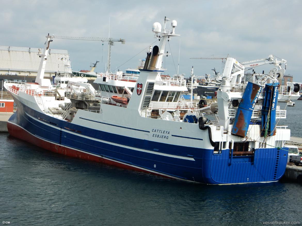 Cattleya - Fish Carrier vessel