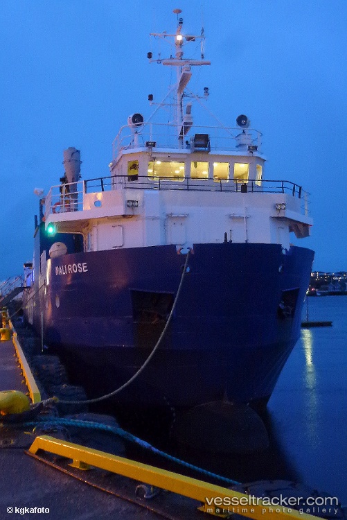 Syklus - Palletized Cargo Ship vessel