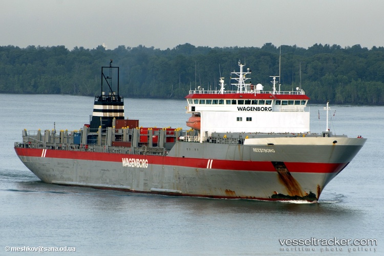 Dareen - Livestock Carrier vessel